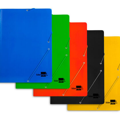Carpeta plastificada. Tamaño folio